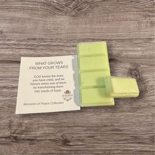 What Grows From Your Tears - SnapScent Bar