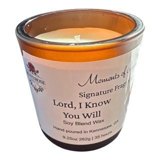 Lord, I Know You Will - Moments of Peace