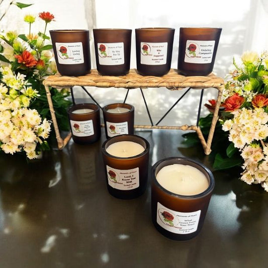 3 oz Candle Sample Set (6)  Moments of Peace Collection