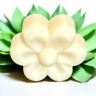 Blossom Six Wax Melt - Beautiful Day