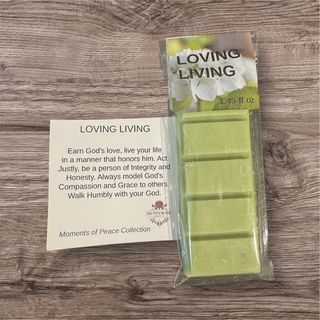 Loving Living - SnapScent Bar