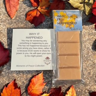 Why it Happened - SnapScent Bar