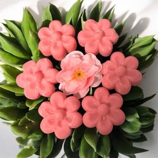 Blossom Six - Plumberry Dahlia