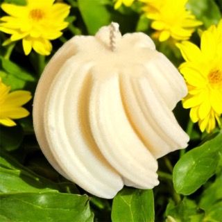 Spiral Swirl Mold
