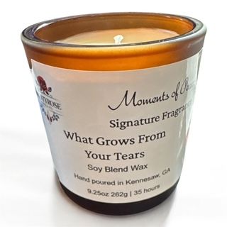 What Grows from your Tears - Moments of Peace
